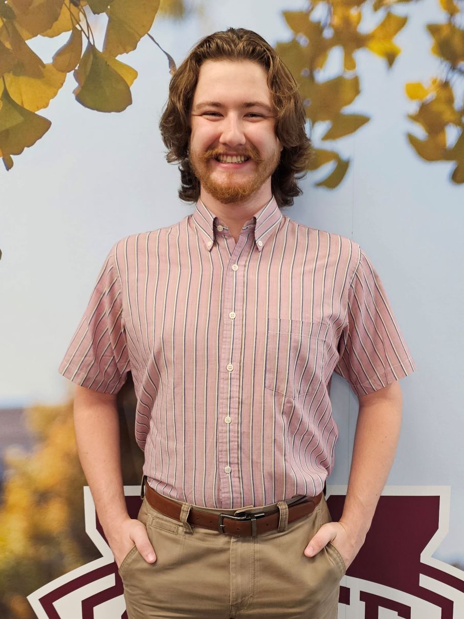 Photo of Iain Brumley, Consultant